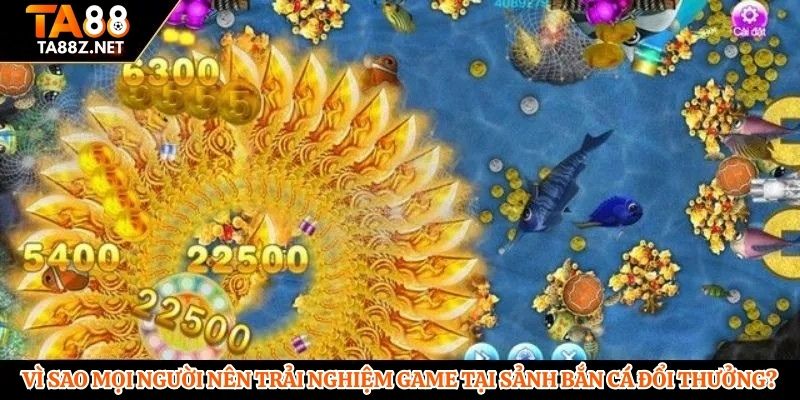 Vì sao mọi người nên trải nghiệm game tại sảnh bắn cá đổi thưởng?