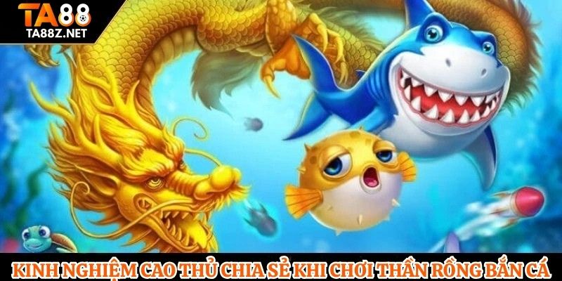 Kinh nghiệm cao thủ chia sẻ khi chơi Thần Rồng Bắn Cá
