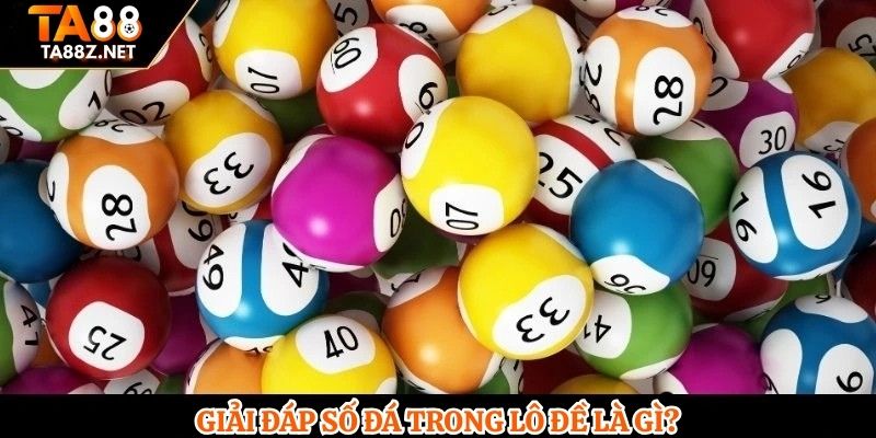 Giải đáp số đá trong lô đề là gì?