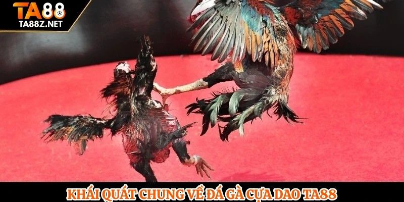 Khái quát chung về đá gà cựa dao TA88