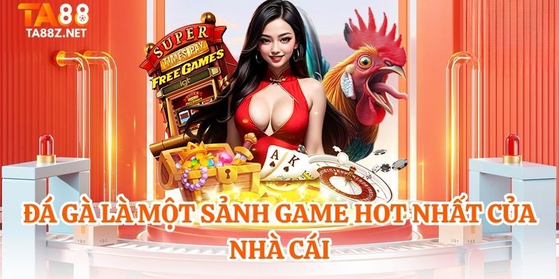 Đá gà là một sảnh game hot nhất của nhà cái
