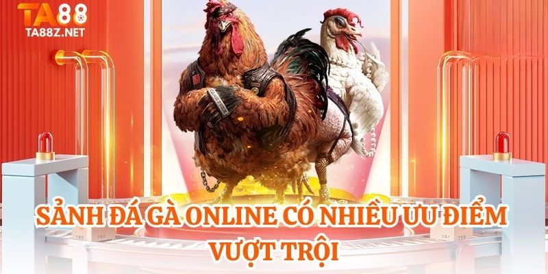 Sảnh đá gà online có nhiều ưu điểm vượt trội