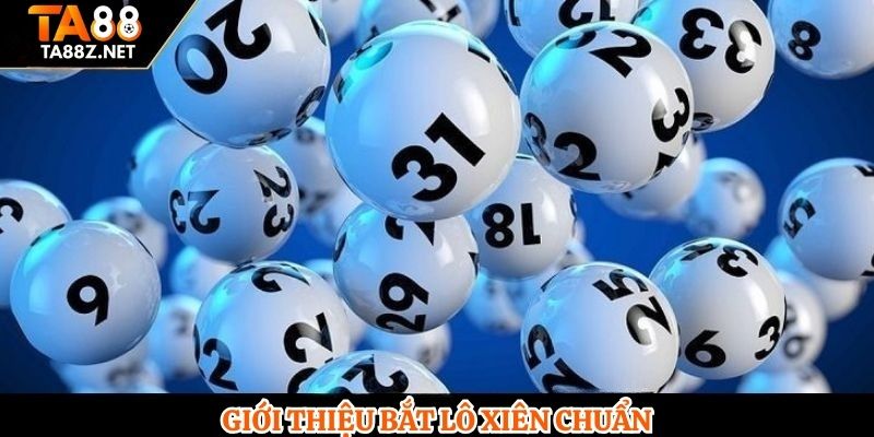 Giới thiệu bắt lô xiên chuẩn