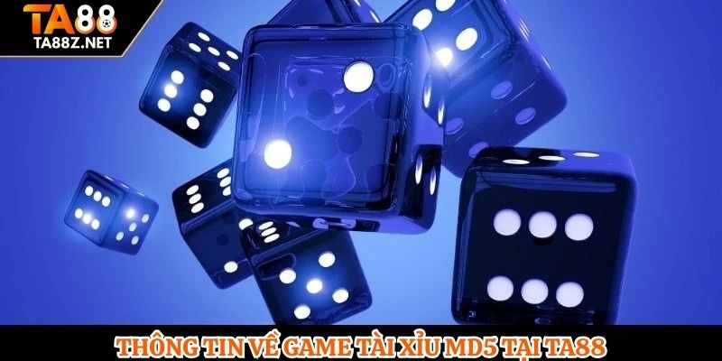 Thông tin về game tài xỉu MD5 tại TA88